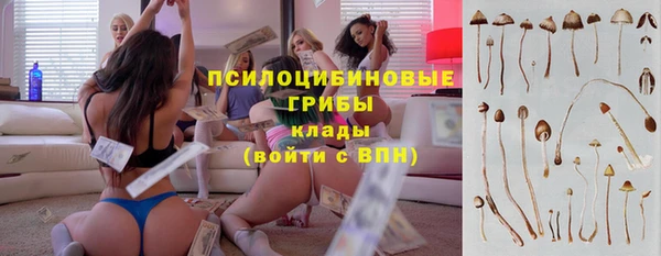 тгк Алексин