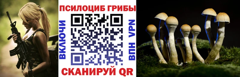 Псилоцибиновые грибы Psilocybe  как найти закладки  blacksprut сайт  Аркадак 